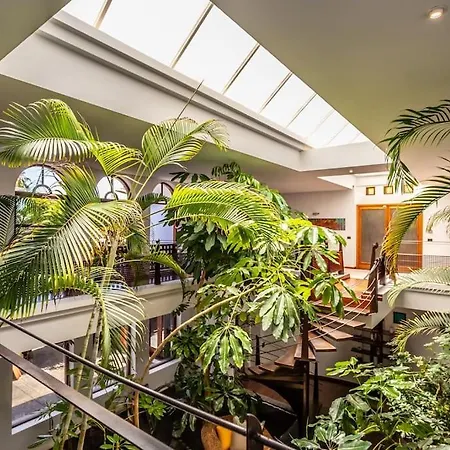 Villa Oasis *